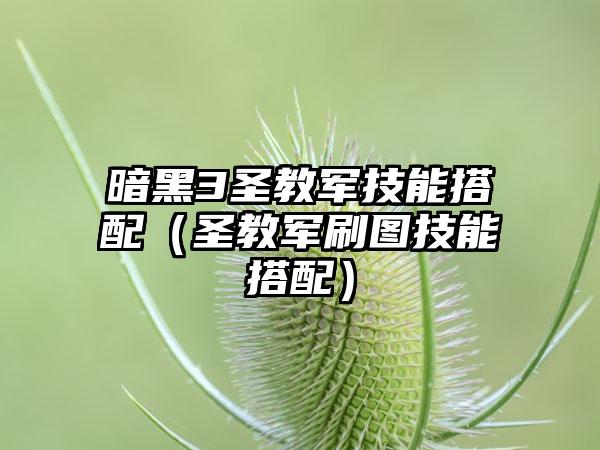 暗黑3圣教军技能搭配（圣教军刷图技能搭配）