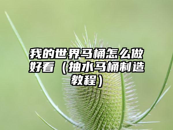 我的世界马桶怎么做好看（抽水马桶制造教程）