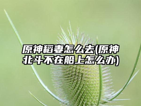原神稻妻怎么去(原神北斗不在船上怎么办)