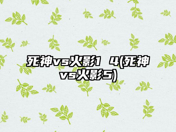 死神vs火影1 4(死神vs火影5)