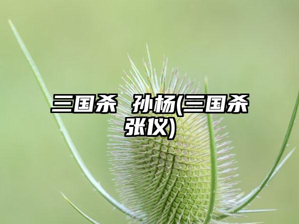 三国杀 孙杨(三国杀张仪)