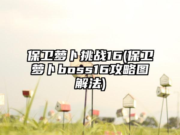 保卫萝卜挑战16(保卫萝卜boss16攻略图解法)