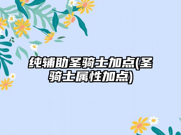 纯辅助圣骑士加点(圣骑士属性加点)