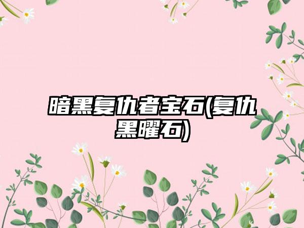 暗黑复仇者宝石(复仇黑曜石)