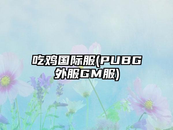 吃鸡国际服(PUBG外服GM服)