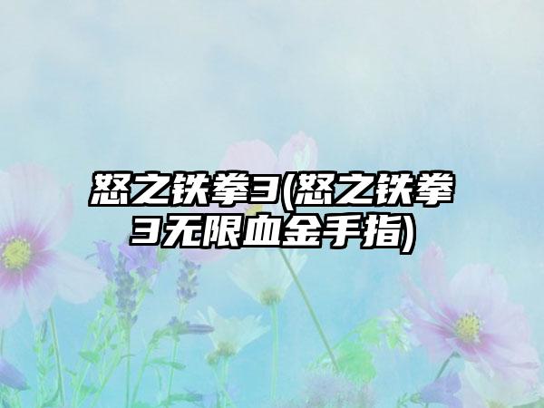 怒之铁拳3(怒之铁拳3无限血金手指)