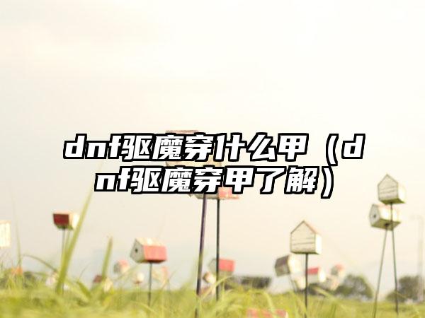 dnf驱魔穿什么甲（dnf驱魔穿甲了解）