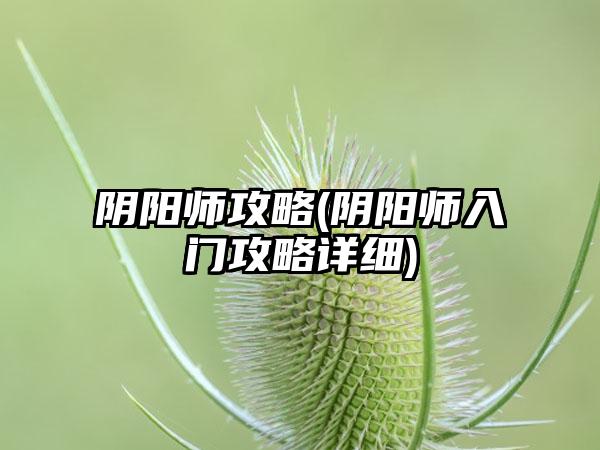 阴阳师攻略(阴阳师入门攻略详细)
