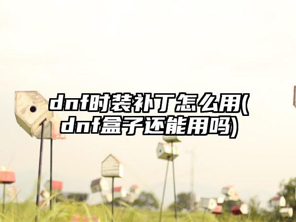 dnf时装补丁怎么用(dnf盒子还能用吗)