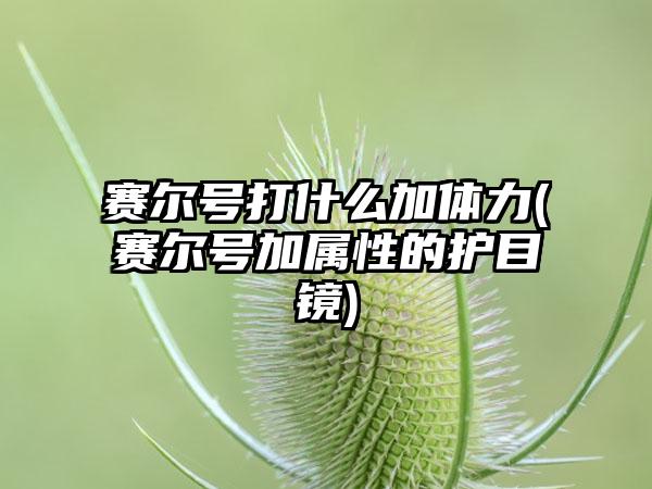 赛尔号打什么加体力(赛尔号加属性的护目镜)