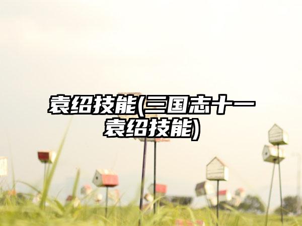 袁绍技能(三国志十一袁绍技能)