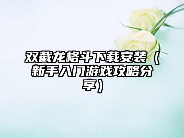 双截龙格斗下载安装（新手入门游戏攻略分享）