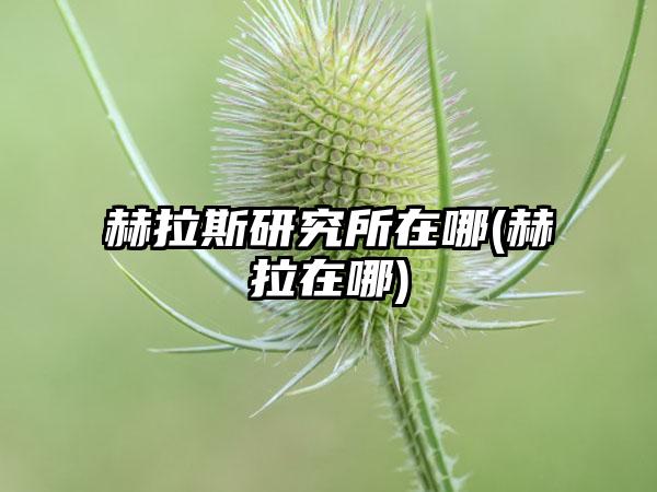 赫拉斯研究所在哪(赫拉在哪)
