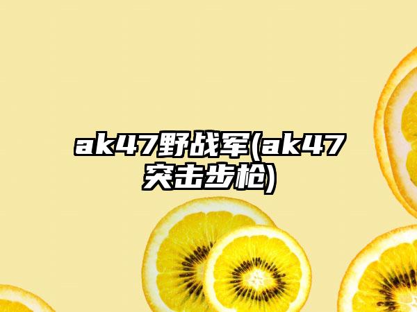 ak47野战军(ak47突击步枪)