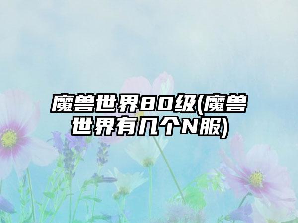 魔兽世界80级(魔兽世界有几个N服)