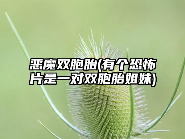恶魔双胞胎(有个恐怖片是一对双胞胎姐妹)
