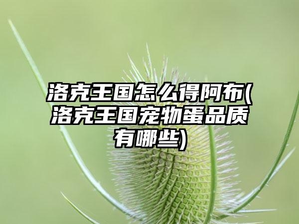 洛克王国怎么得阿布(洛克王国宠物蛋品质有哪些)