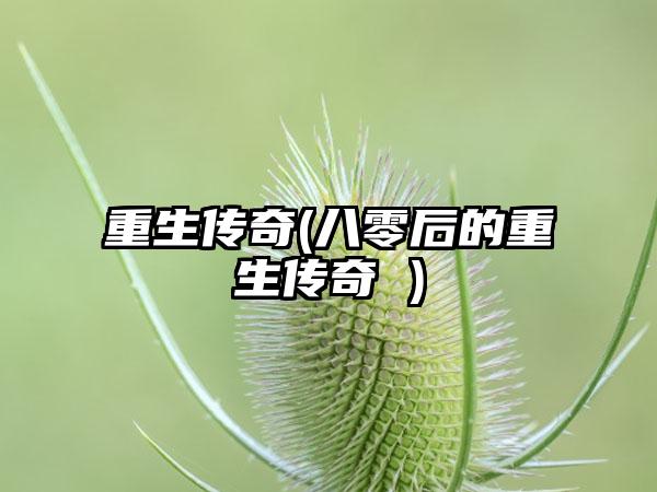 重生传奇(八零后的重生传奇 )