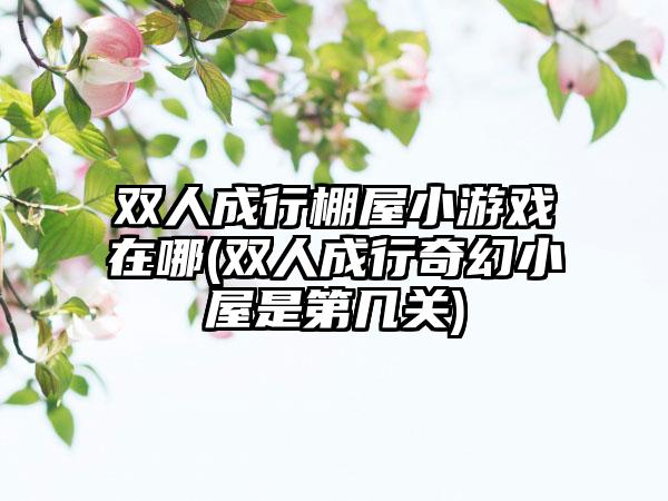 双人成行棚屋小游戏在哪(双人成行奇幻小屋是第几关)
