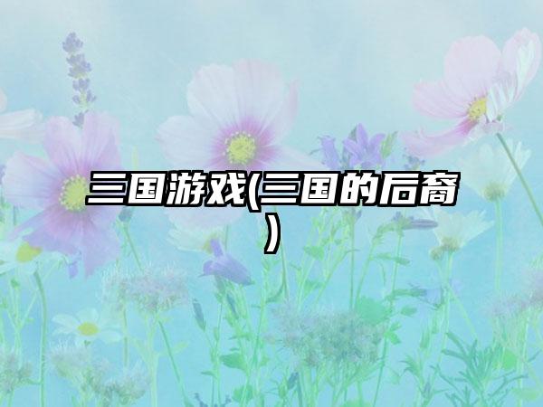 三国游戏(三国的后裔)