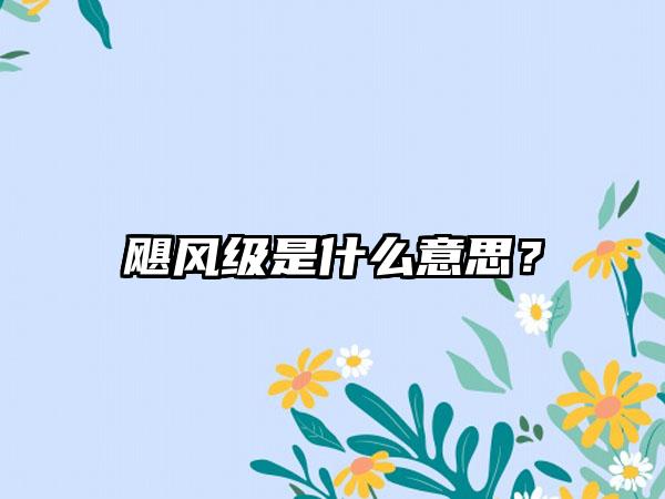 飓风级是什么意思？