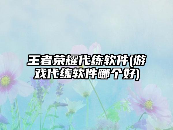 王者荣耀代练软件(游戏代练软件哪个好)