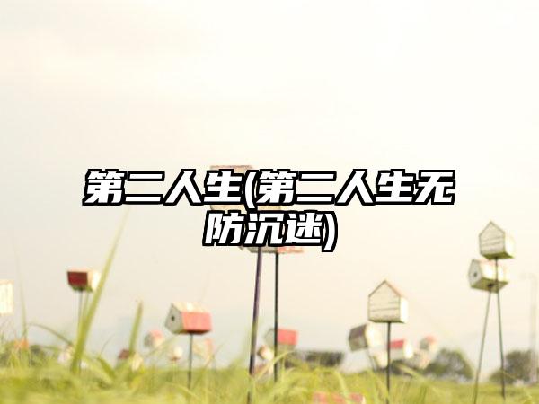 第二人生(第二人生无防沉迷)