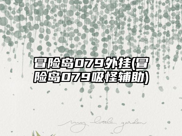 冒险岛079外挂(冒险岛079吸怪辅助)