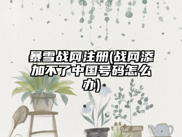 暴雪战网注册(战网添加不了中国号码怎么办)