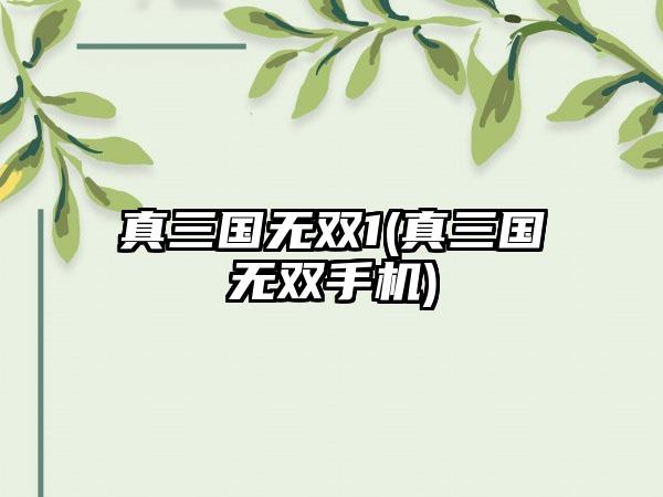 真三国无双1(真三国无双手机)
