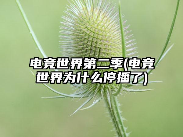 电竞世界第二季(电竞世界为什么停播了)