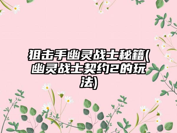 狙击手幽灵战士秘籍(幽灵战士契约2的玩法)