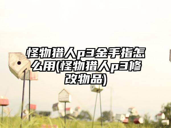 怪物猎人p3金手指怎么用(怪物猎人p3修改物品)