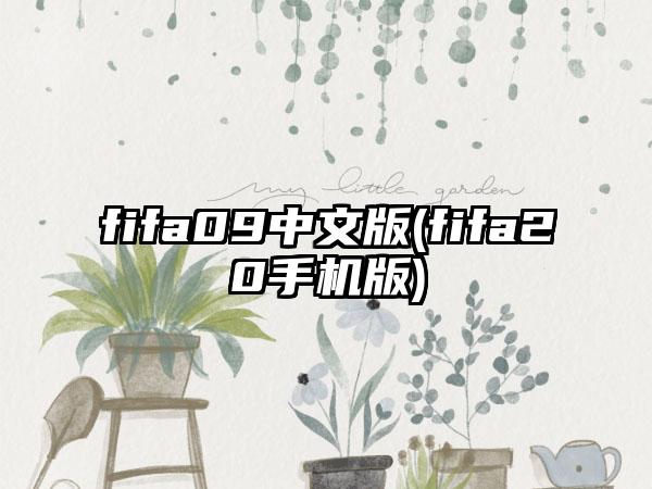fifa09中文版(fifa20手机版)