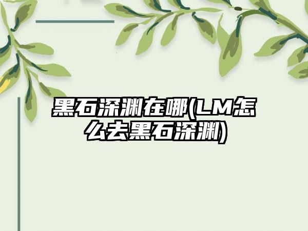 黑石深渊在哪(LM怎么去黑石深渊)