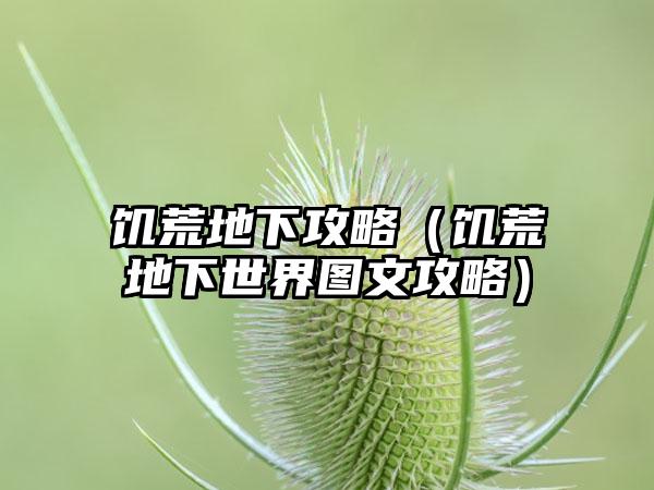 饥荒地下攻略（饥荒地下世界图文攻略）