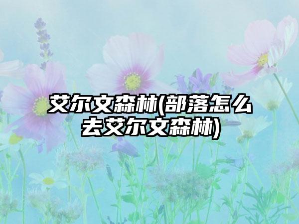 艾尔文森林(部落怎么去艾尔文森林)