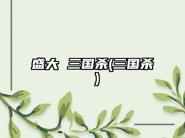 盛大 三国杀(三国杀 )