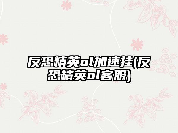 反恐精英ol加速挂(反恐精英ol客服)