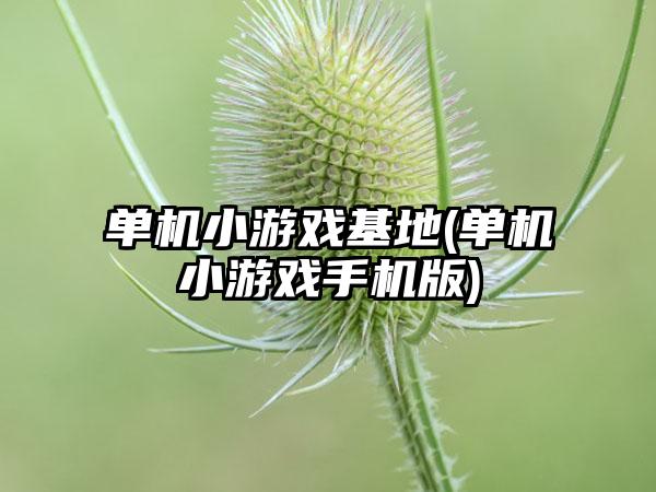 单机小游戏基地(单机小游戏手机版)
