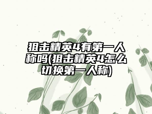 狙击精英4有第一人称吗(狙击精英4怎么切换第一人称)