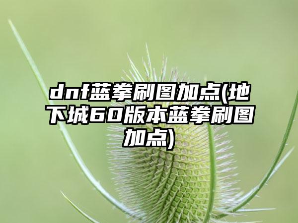 dnf蓝拳刷图加点(地下城60版本蓝拳刷图加点)