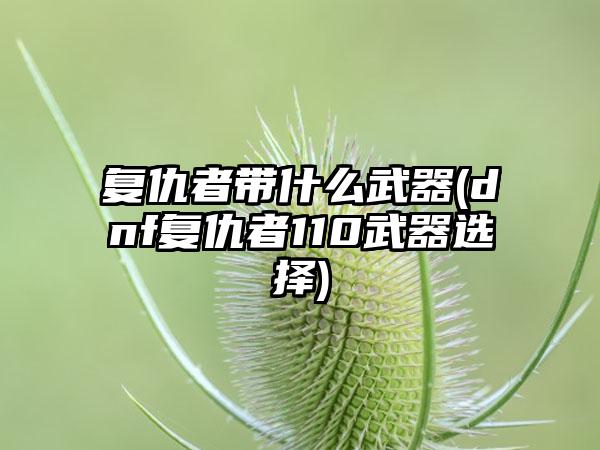 复仇者带什么武器(dnf复仇者110武器选择)