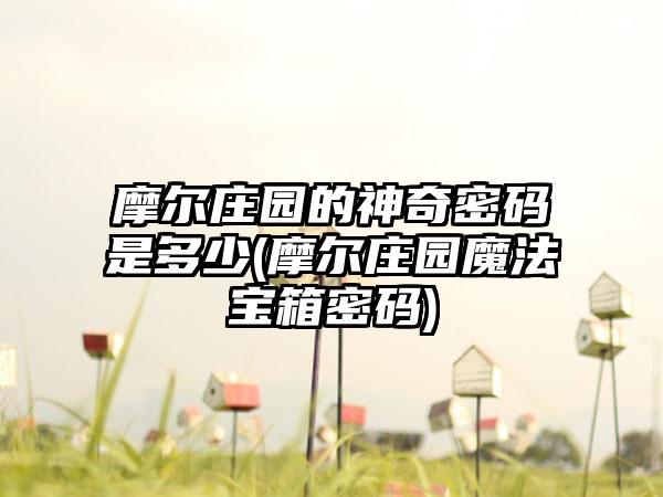 摩尔庄园的神奇密码是多少(摩尔庄园魔法宝箱密码)
