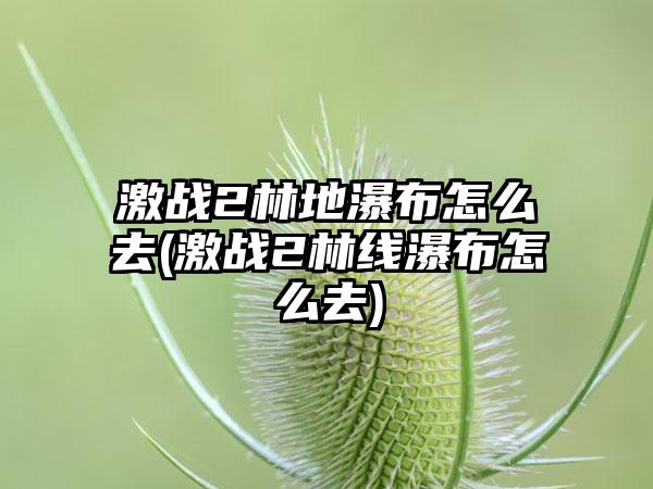 激战2林地瀑布怎么去(激战2林线瀑布怎么去)