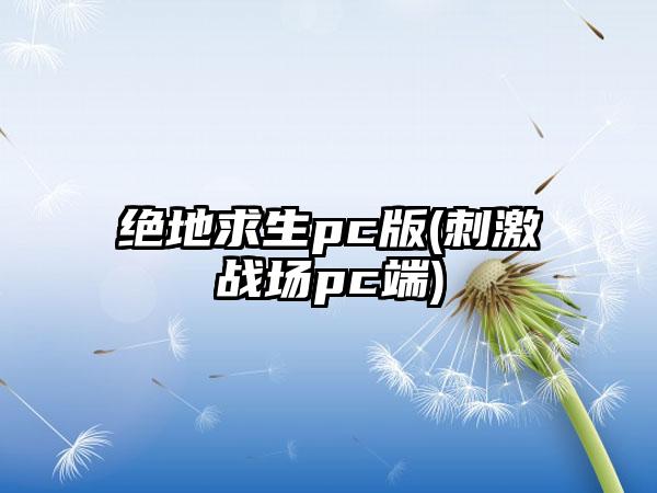 绝地求生pc版(刺激战场pc端)