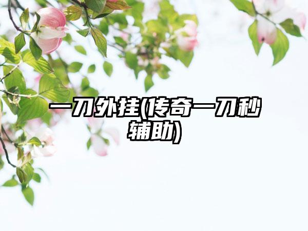 一刀外挂(传奇一刀秒辅助)