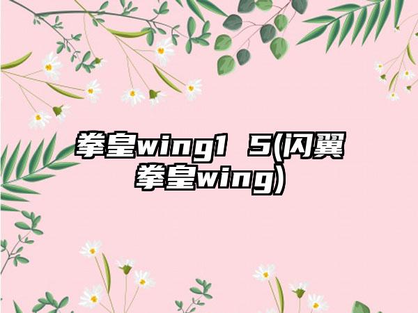 拳皇wing1 5(闪翼拳皇wing)