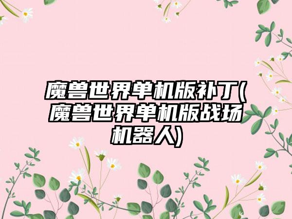 魔兽世界单机版补丁(魔兽世界单机版战场机器人)