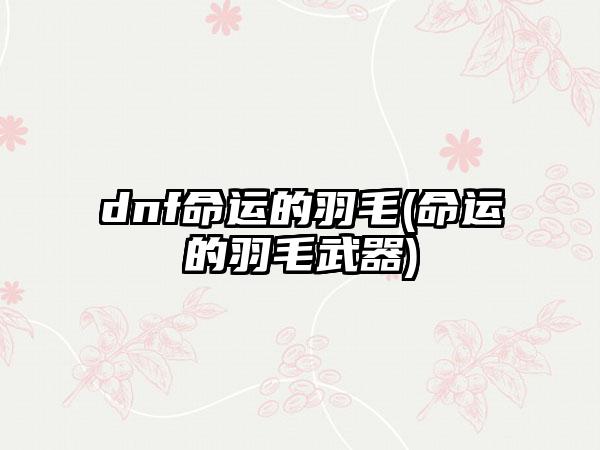 dnf命运的羽毛(命运的羽毛武器)